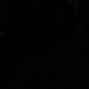 Meet your Posher, Daylen